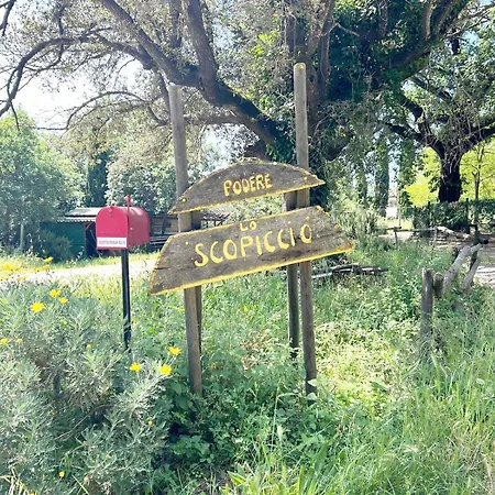 Appartamento Podere Lo Scopiccio A